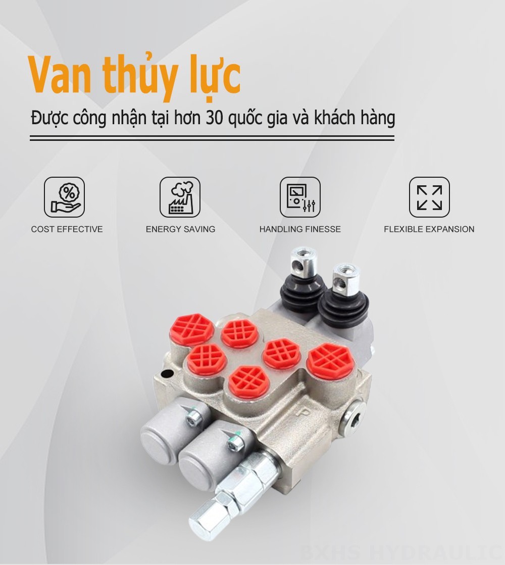 P40-XNHJ Điều khiển thủ công Xy lanh 2 Van điều hướng Monoblock