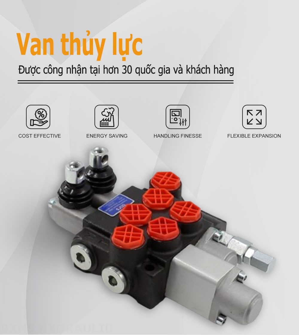 P40A Điều khiển thủ công Xy lanh 2 Van định hướng khối liền