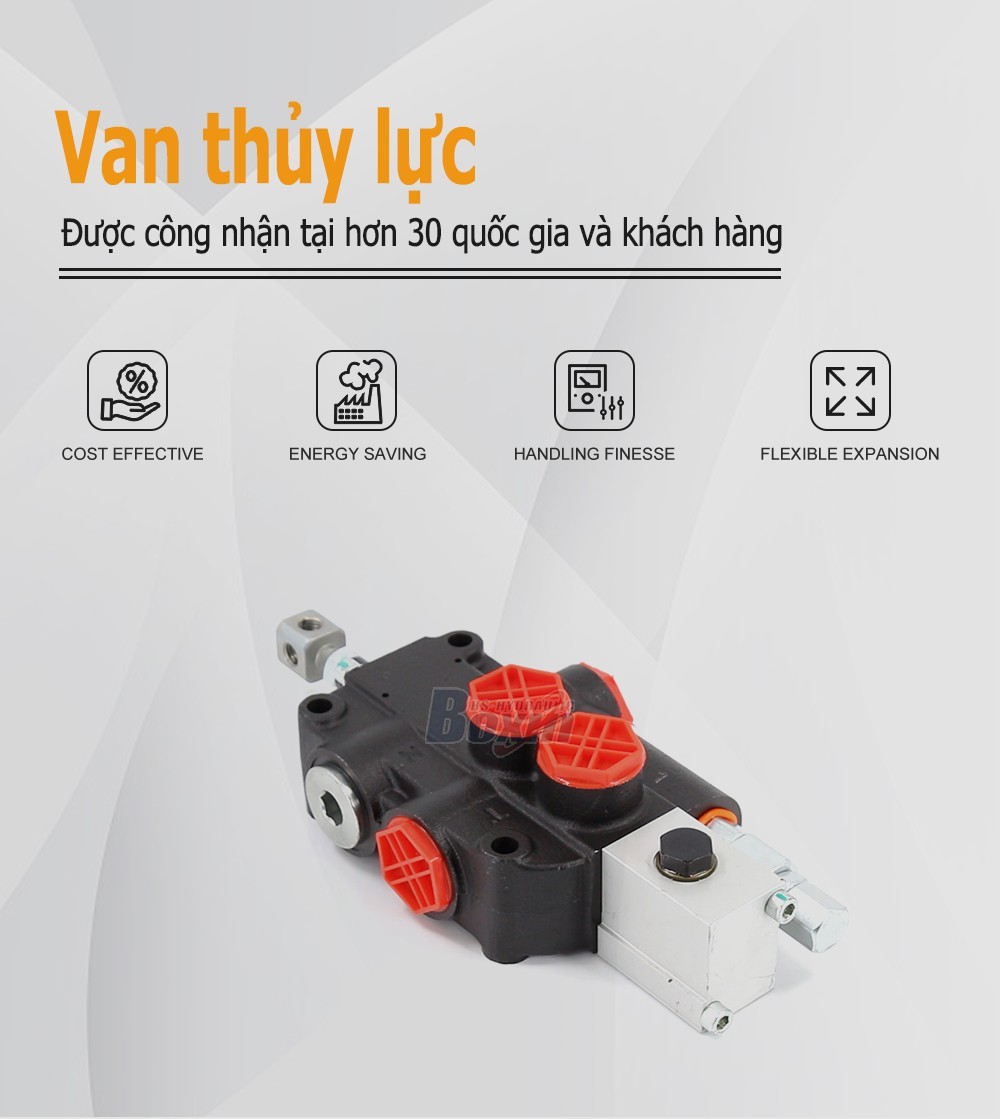 P80A-OX 1 Spool Monoblock Directional Valve for Heavy Machinery