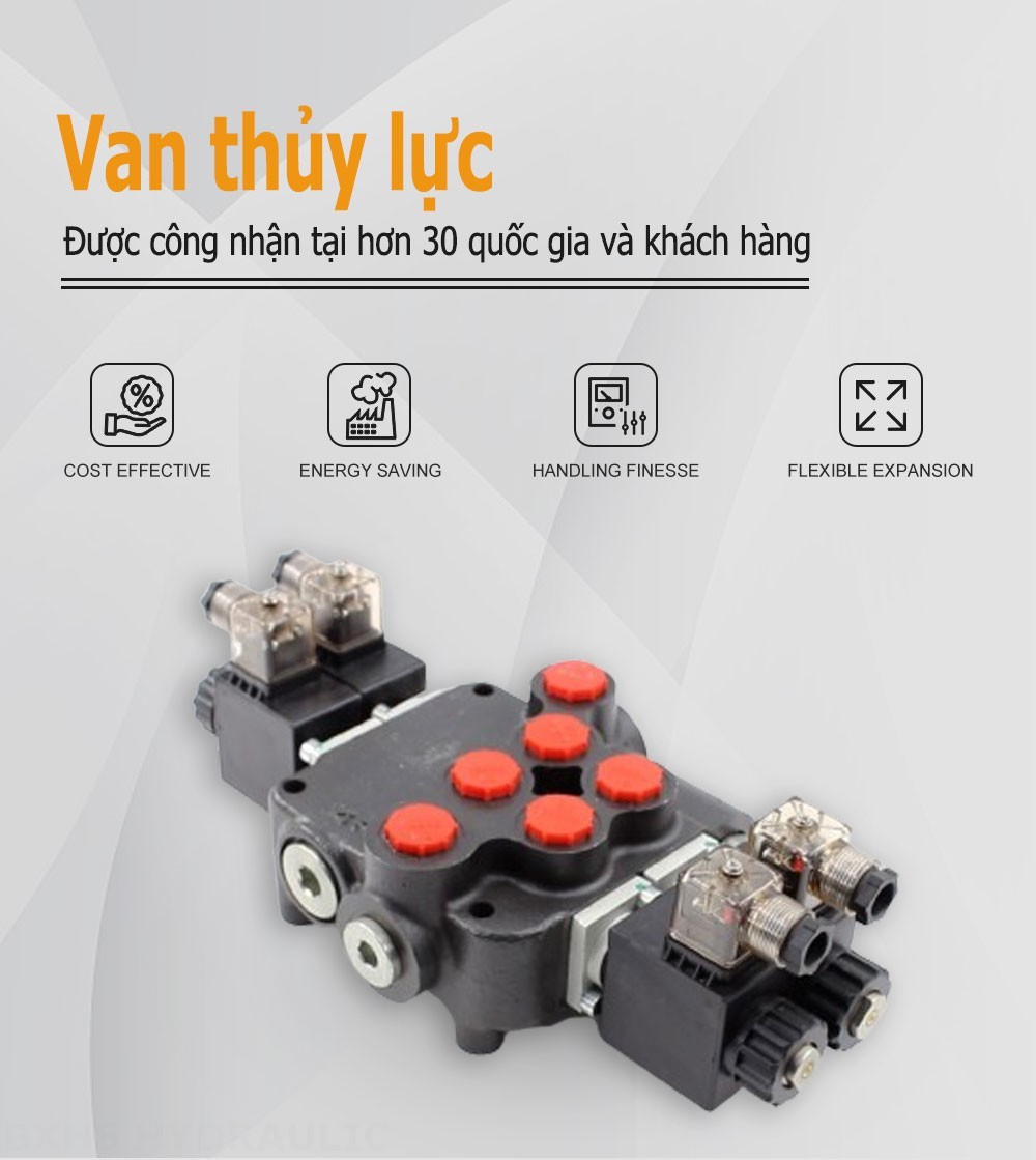 P80 Biến áp Xy lanh 2 Van định hướng khối liền