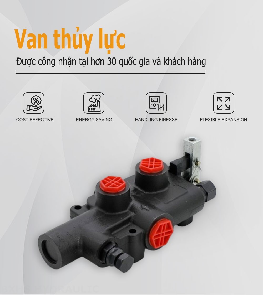 P81 Điều khiển thủ công Xy lanh 1 Van phân chia gỗ