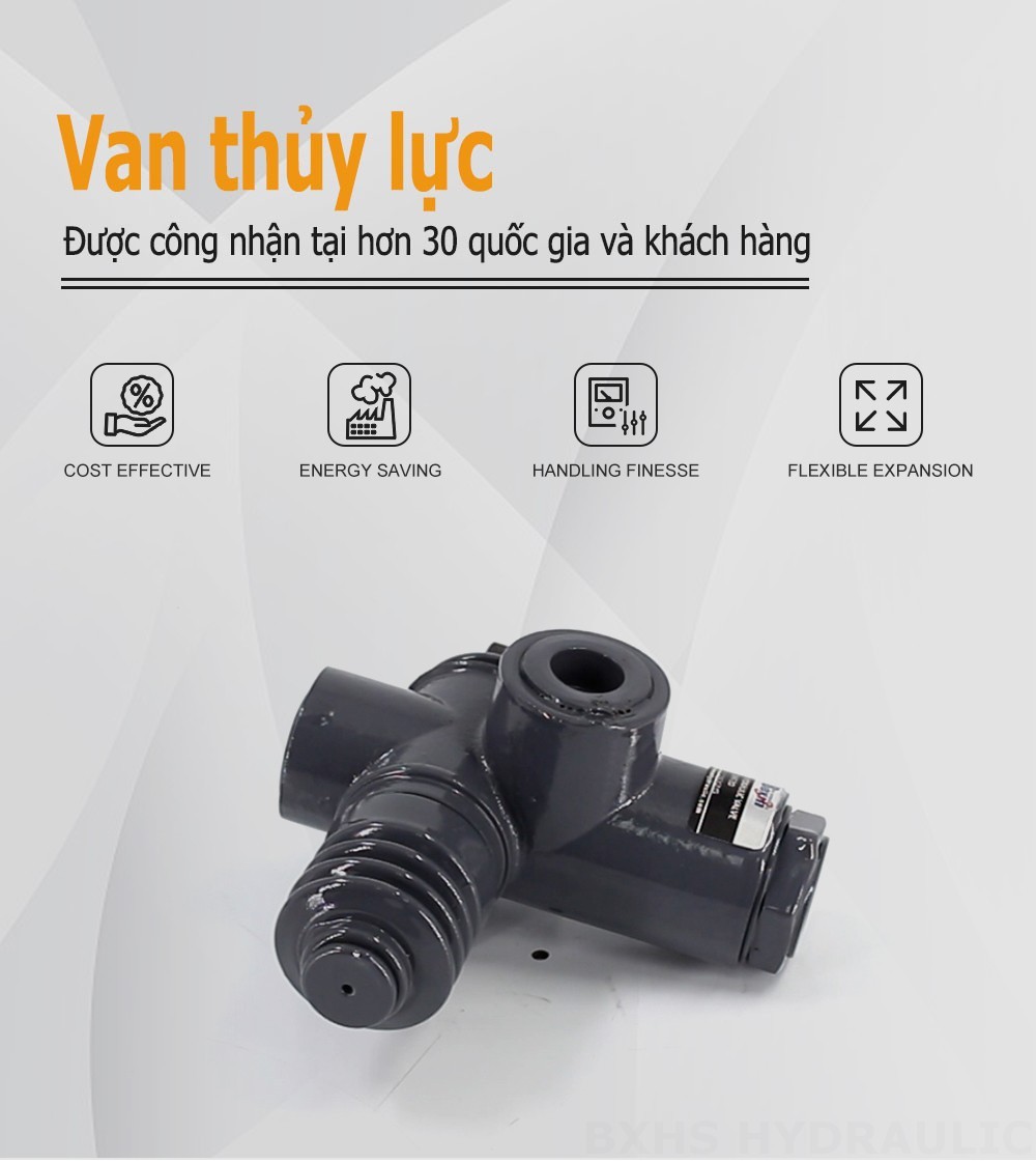 QHF20  Điều khiển thủ công Xy lanh 1 Van điều hướng Monoblock