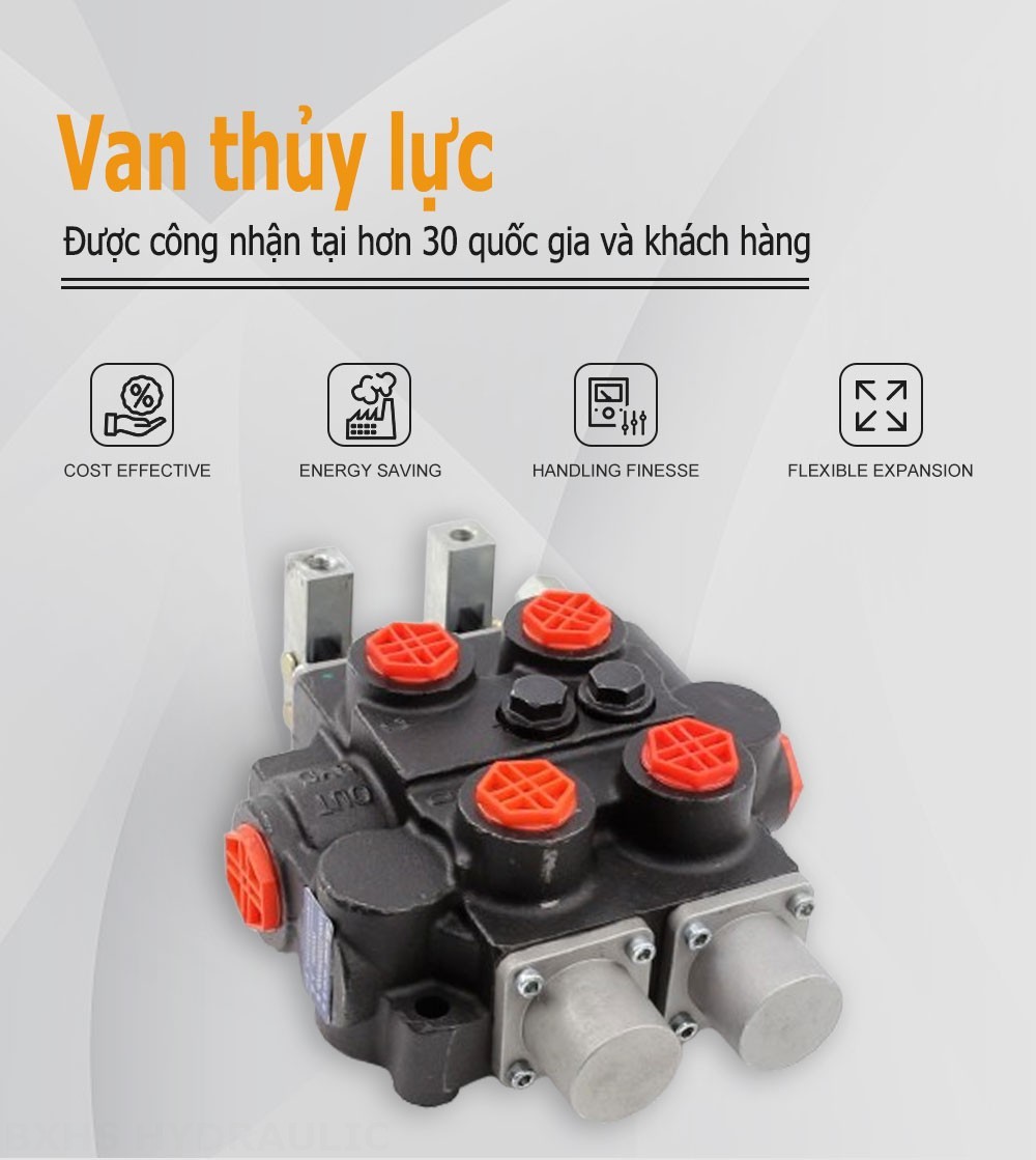 RD5200 Điều khiển thủ công Xy lanh 2 Van điều khiển thủy lực