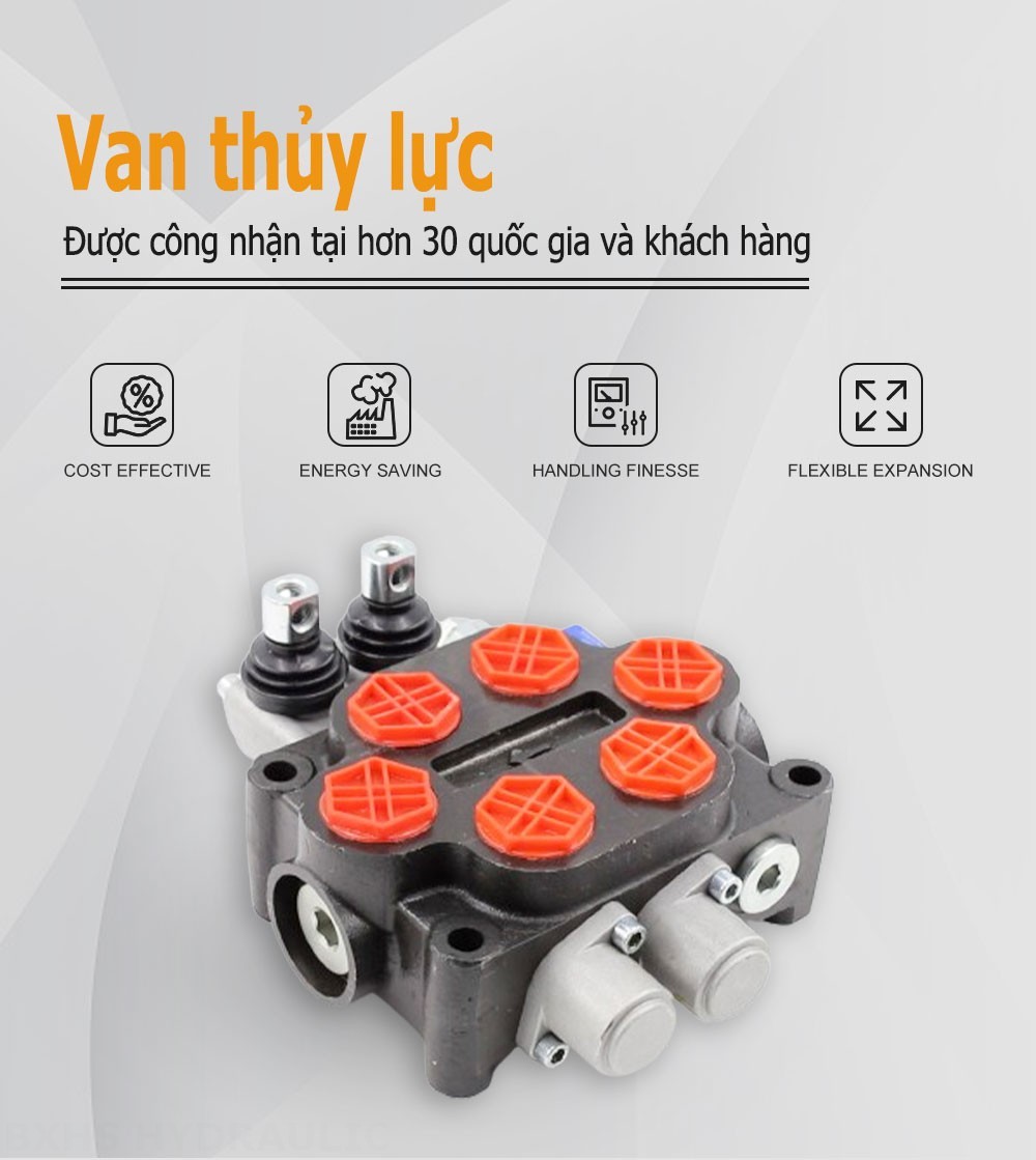 ZT20 Điều khiển thủ công Xy lanh 2 Van điều khiển thủy lực