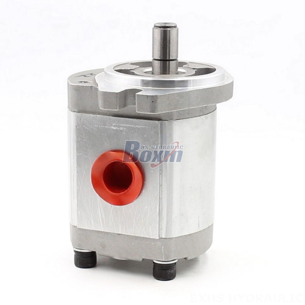 Manufacturer of CBHS-FL304 Hydraulic Gear Pumps: Wholesale & Customization Available main image