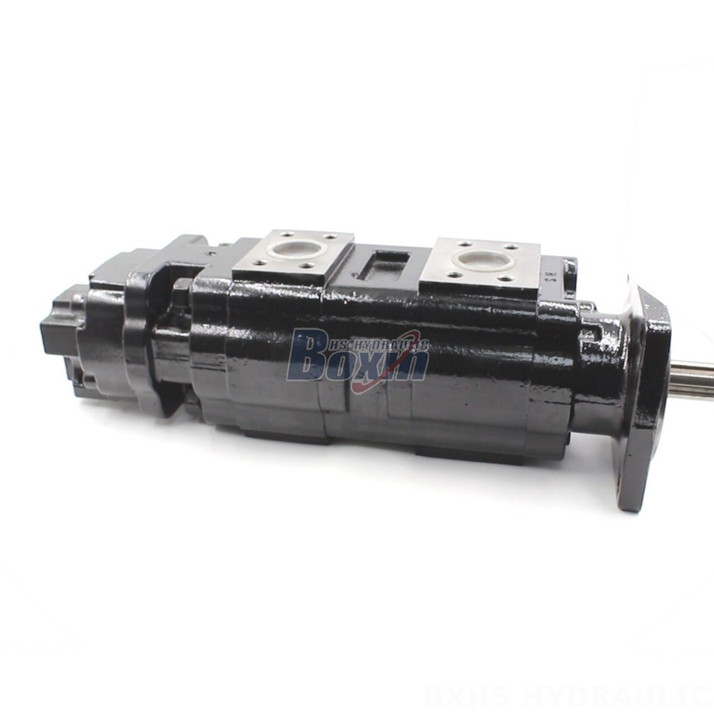 JHP2080-2080-1016 80 cc/rev Hydraulic Gear Pump: OEM & ODM Services Available main image