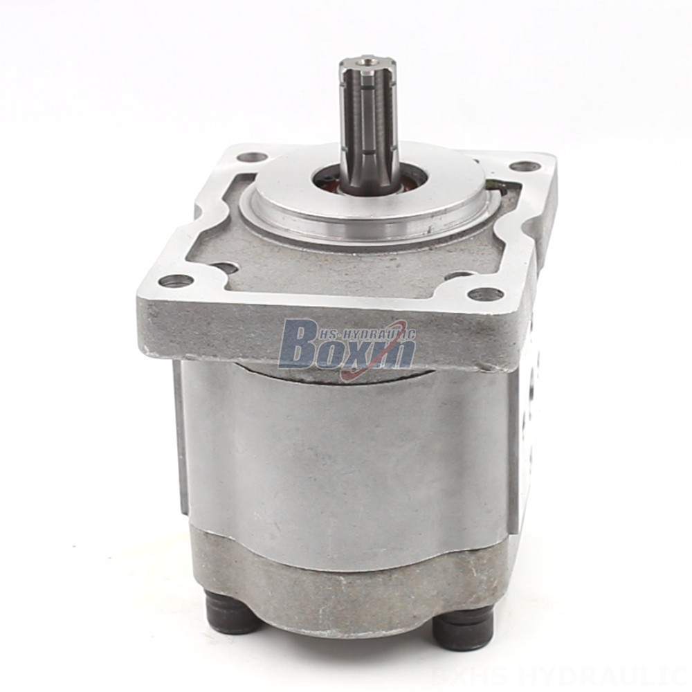 10 cc/rev Hydraulic Gear Pump: Manufacturer, Supplier, and Customization cover photo
