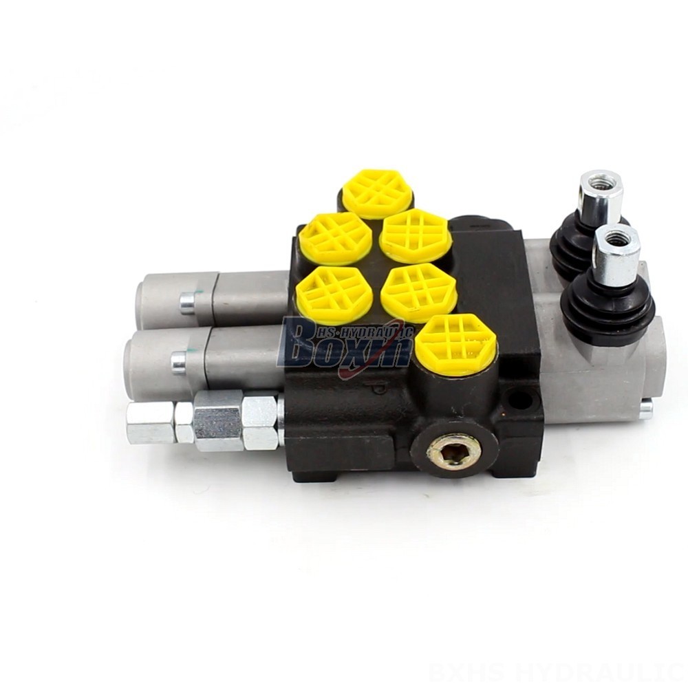 P40-G12-2OT Manual 2 Spool Monoblock Directional Valve | Manufacturer & Supplier cover photo