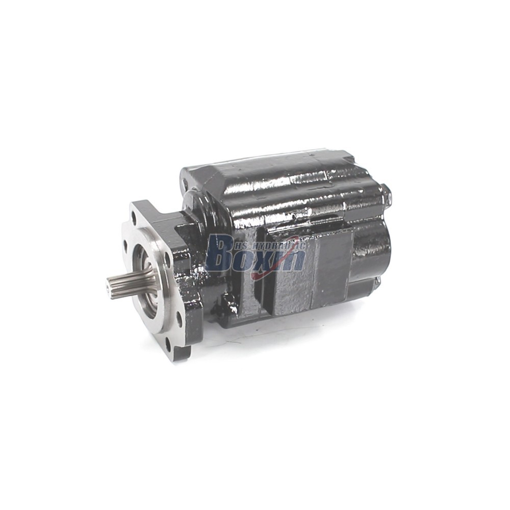 Seeking Global Distributors and Wholesalers for P51A646TEYR25-25 Gear Pump main image