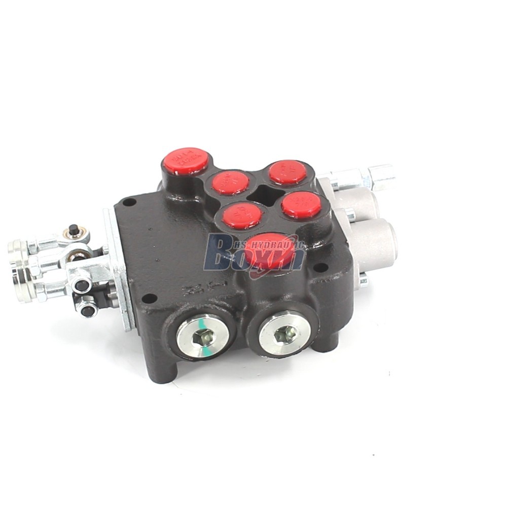 OEM and Custom P80-U1-J2OT Joystick 2 Spool Directional Valve Private Label Services main image